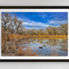 Trio, Bosque Rio Grande, Albuquerque, NM | Fine Art Photography Print for Sale | Chronoscope Pictures